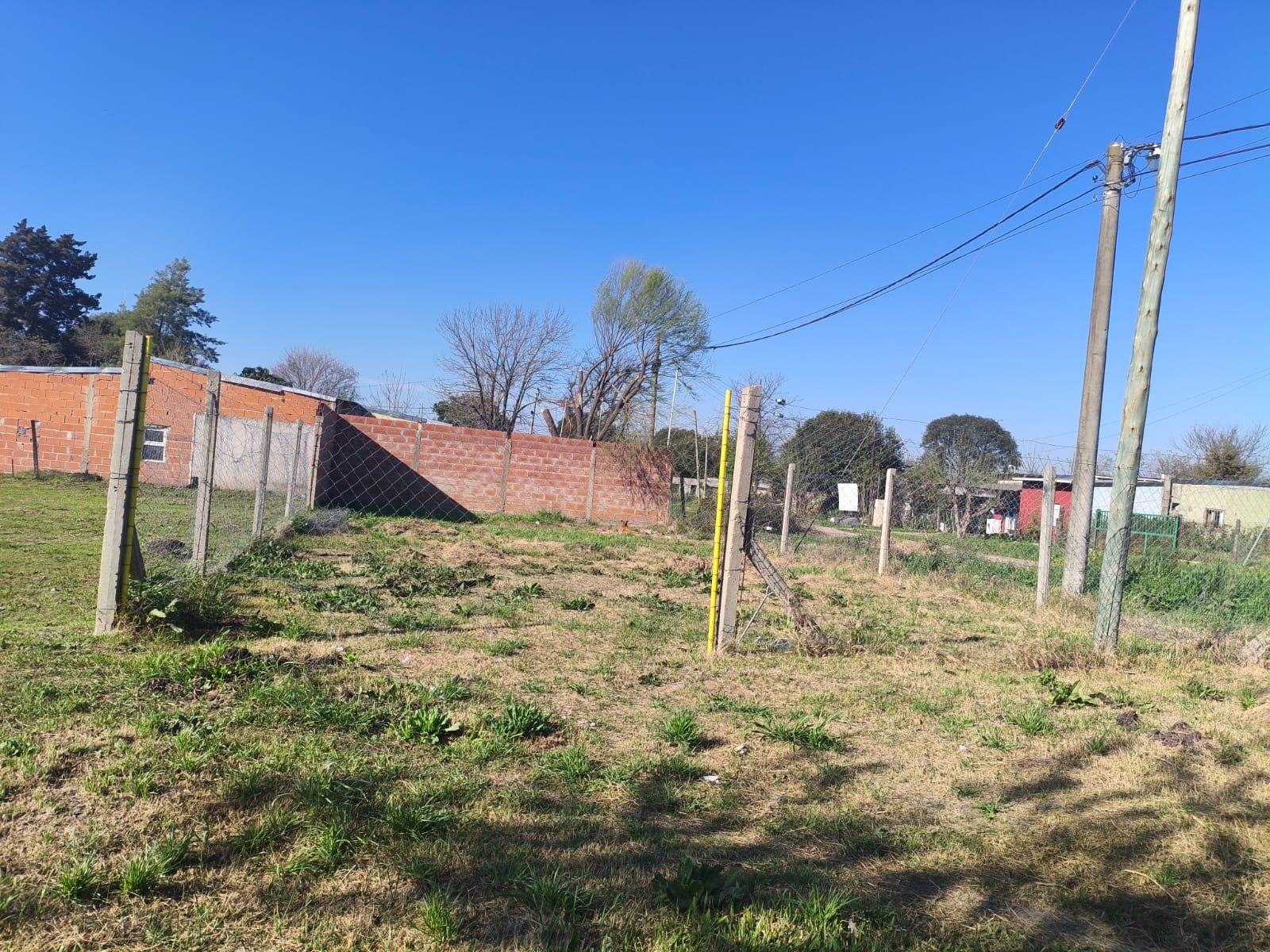Terreno en calle Estrada